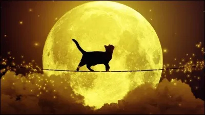 Quelle est la note qui précède le "la" ?