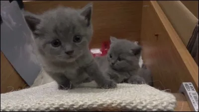 Comment se nomme son père ?