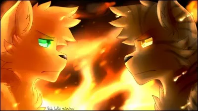 Tu as envie d'être :