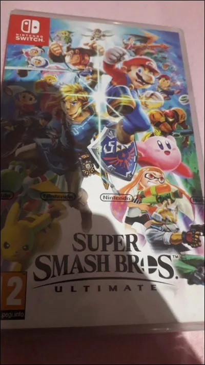 Le jeu "Les Aventures de David Ultimate : La revanche de David Ombre" est identique à "Super Smash Bros Ultimate". Mais pourquoi retrouve-t-on tous les ancien(ne)s héros/héroïnes en tant qu'adultes, adolescents et enfants ?