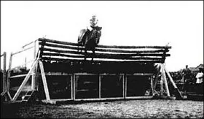 Je suis un pur-sang chilien et je crois bien avoir franchi le plus grand obstacle du monde. Sachez que j'ai sauté 2, 47 m de hauteur. Qui suis-je ?