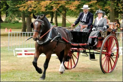 Combien de tests comporte le concours d'attelage ?