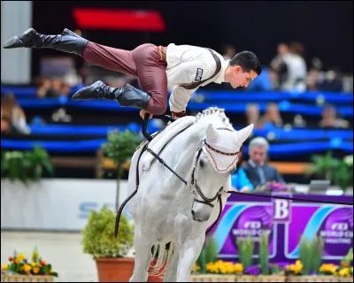 Laquelle de ces disciplines équestres n'existe pas ?