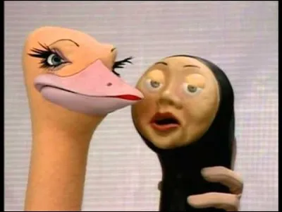 Où pouvait-on les voir ?