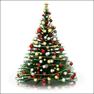 Mon premier lui appartient. Les gens aiment bien la mie de mon deuxième. Mon tout est l'arbre de Noël.