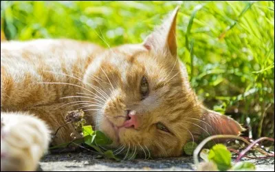 Des apprentis plus jeunes que toi deviennent guerriers avant toi.
Quelle est ta réaction ?