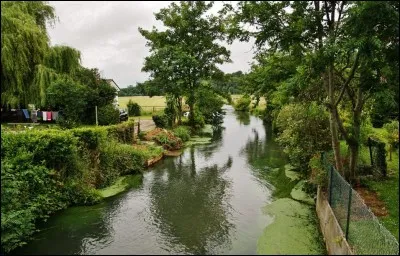 La Saâne, petit fleuve long de 40 km , coule ...
