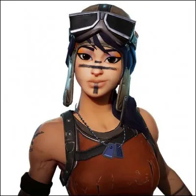 Quelle est ce skin Fortnite ?