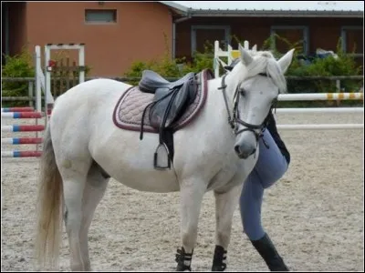 On selle et on monte du côté...