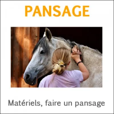 Il faut panser le cheval...