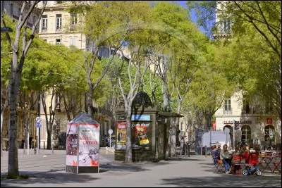 Où se situe le cours Joseph-Thierry ?