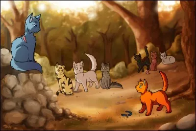 As-tu beaucoup d'amis ?