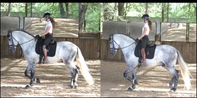 Qu'arrive-t-il au cavalier s'il ne se lève pas et ne s'assoie pas au rythme de son cheval, au trot ?