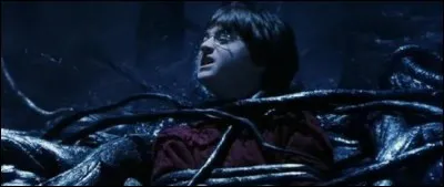 Ensuite lorsqu'ils arrivent à passer il y a une plante qui s'enroule à eux. Comment s'appelle-t-elle ?