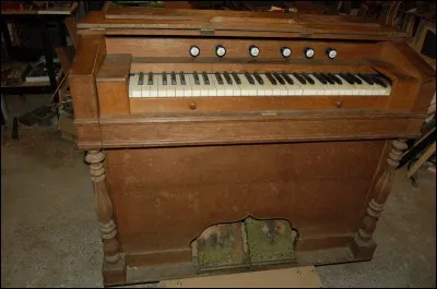 Quelle est cette plante à fleurs violettes, de la famille des labiacées, que l'on trouve parfois dans les jardins de rocailles ?