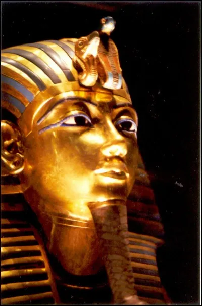 Un "haje" est un animal : mais lequel ?