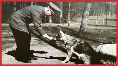 Adolf Hitler avait une chienne en sa compagnie. Quel était son nom ?