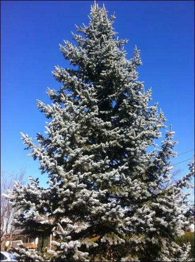 Once upon a time a big man who went trhought the fireplaces to bring gifts !