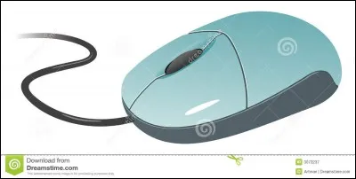 Il était une fois un rongeur qui ne trouvait rien de mieux à faire que de courir dans l'herbe !