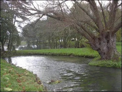 La Varenne, rivi&egrave;re longue de 40 km, coule ...