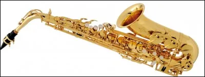 Quel est cet instrument ?