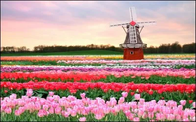 Ce célèbre parc néerlandais s'appelle...