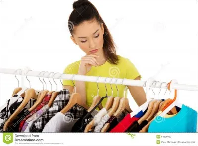 Votre style vestimentaire est :