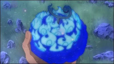 Si on te proposait d'avoir un fruit du démon, quelle serait ta réaction ?