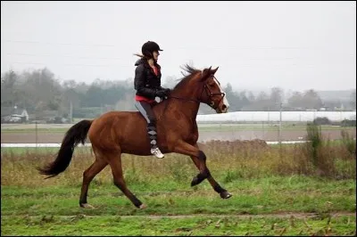 Quelle est l'aide artificielle ?