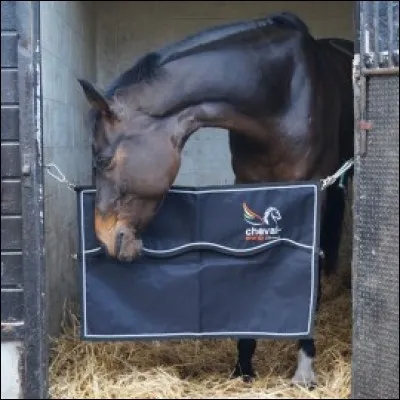 Pourquoi est-il pr&eacute;f&eacute;rable de commencer par le filet lorsqu'on selle au box ?