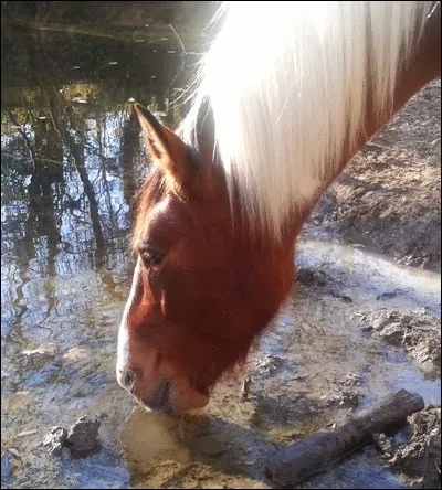 Que signifie &laquo;&nbsp;couper l'eau&nbsp;&raquo; ?