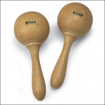 Quel est cet instrument ?