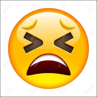 Que veut dire cet emoji ?