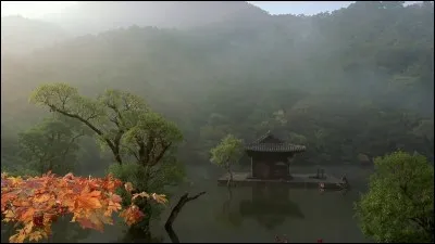 Quelle est ta saison préférée ?