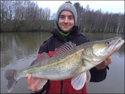 Au bout de la tige, c'est la...