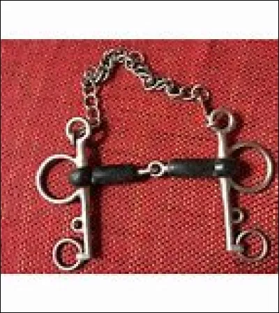 Un mors équipé d'une gourmette agis sur :