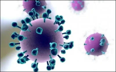 Pour participer à une compétition officielle contre quelle maladie la vaccination est-elle obligatoire ?