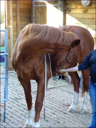 Qu'est-ce que la notion de pli ?