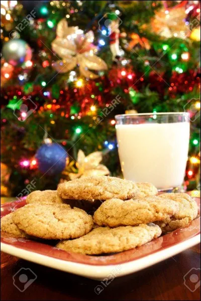 Comment appelle-t-on le lait que nous buvons pour les fêtes de Noël fait à base de jaunes d'ufs ?