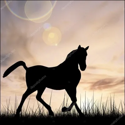 Elle peut être abattue !