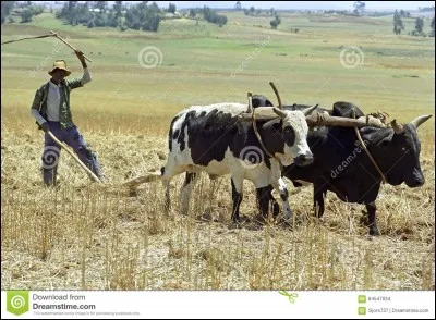 Il ne faut pas la mettre avant !