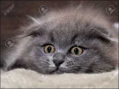 Si vous lui donnez, vous aurez la réponse !