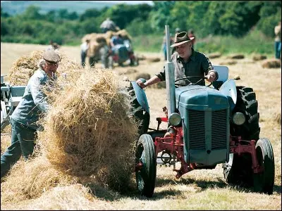 Dans quel film peut-on le voir ainsi ?