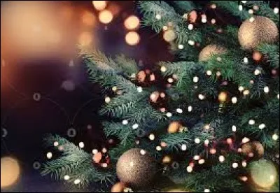 À quand remonte le sapin de Noël ?
