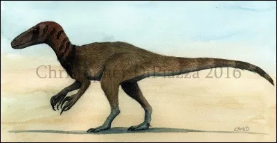 BONUS : quel est ce dinosaure ?