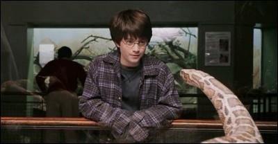 Dans ''Harry Potter à l'école des sorciers'' au zoo d'où vient le serpent avec qui parle Harry ?
