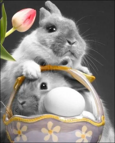 En Angleterre c'est Easter Bunny qui est chargé de les apporter !