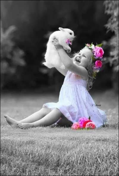 Qui apporte les ufs au Tyrol ?