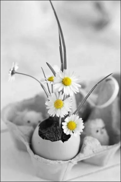 Quand les entend-on carillonner ?