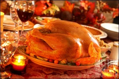 On mange de la dinde à Noël dans le monde entier, mais, en Europe, cette tradition a pu voir le jour grâce à la découverte de cet oiseau par :